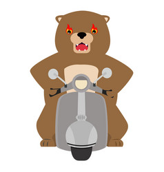 Biker Bear Riding On Motorbike