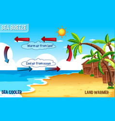 Diagram showing circulation land breeze Royalty Free Vector