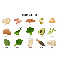 Vegan Protein Food Set