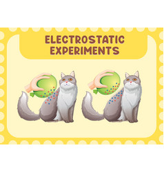 Electrostatic Science Experiment Poster