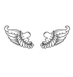 A Pair Of Wings In Black And White Done