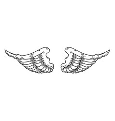 A Pair Of Wings In Black And White Done