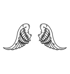 A Pair Of Wings In Black And White Done