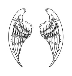 A Pair Of Wings In Black And White Done