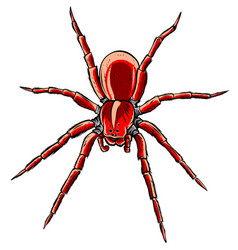 Red Back Spider And Simple Design