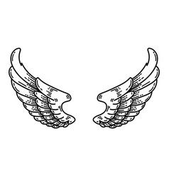 A Pair Of Wings In Black And White Done