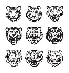 Wild Tiger Heads And Logo Icons