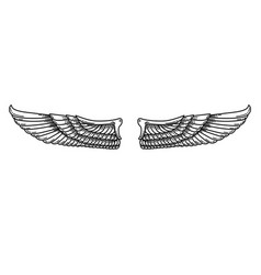 A Pair Of Wings In Black And White Done