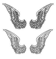 A Pair Of Wings In Black And White Done