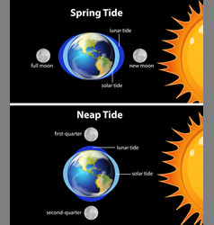 Diagram Showing Earth Tides