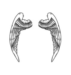 A Pair Of Wings In Black And White Done