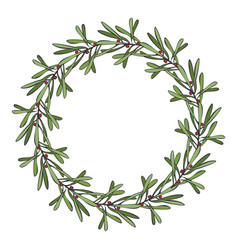 Wreath Hand Drawing Round Frame Cranberry Twig