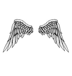 A Pair Of Wings In Black And White Done