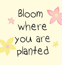 Bloom Where You Are Planted