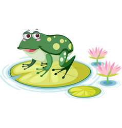 Cute Frog On Lily Pad White Background