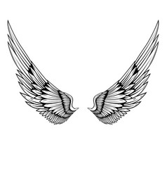 A Pair Of Wings In Black And White Done