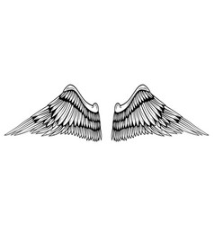 A Pair Of Wings In Black And White Done