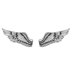 A Pair Of Wings In Black And White Done