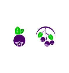 Set Of Aronia Berry Logo Template