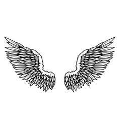 A Pair Of Wings In Black And White Done