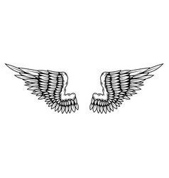 A Pair Of Wings In Black And White Done