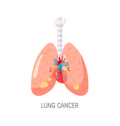 Human lung cartoon Royalty Free Vector Image - VectorStock