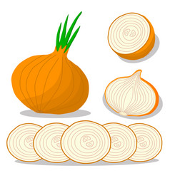 Vegetable Round Onion