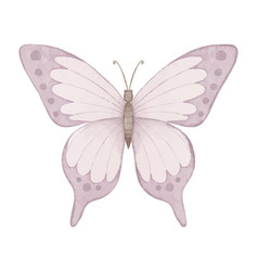 Pink Butterfly Watercolor Drawing