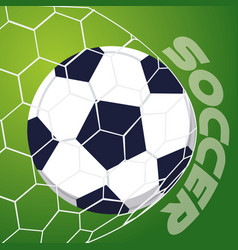 Soccer Ball In A Net Poster