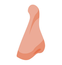 Anatomy Facelift Icon Isometric Nose