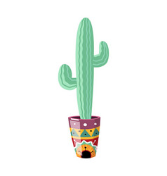 Cactus Flat