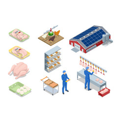 Isometric Set Icons Of Poultry Farming Concept