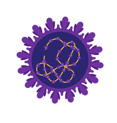 Coronavirus Cell Structures And Anatomy