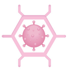 Science Coronavirus Structure