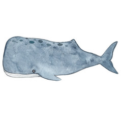 Sperm Whale Watercolor