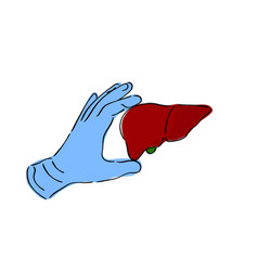 Liver In Hand