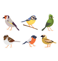 Birds Cartoon Flying Animals Colored Exact