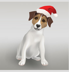 Dog Jack Russell Terrier In The Red Hat