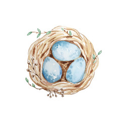 Hand Drawn Watercolor Bird Nest With Eggs