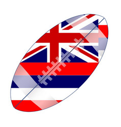 Hawaii State Usa Football Flag