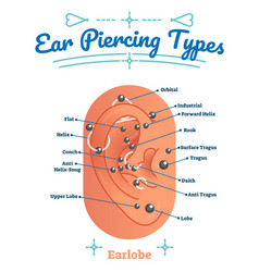 Types Of Ear Piercing Beauty And Fashion Diagram