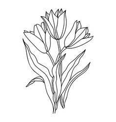 Tulips April Birth Month Flower Line Art