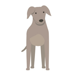 Greyhound Standing Icon Cartoon Animal Run