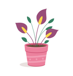 House Flower In Pot Isolated