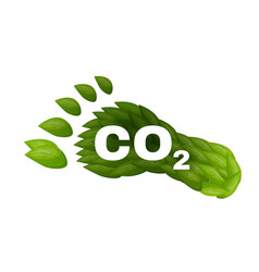 Carbon Footprint Editable