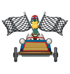 Soapbox Derby With Duck Driving Car