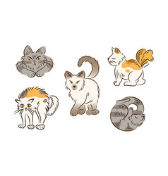 Set Of Cats In Different Poses Cartoon Style