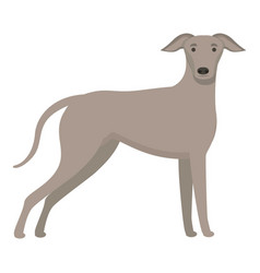 Greyhound Icon Cartoon Animal Run