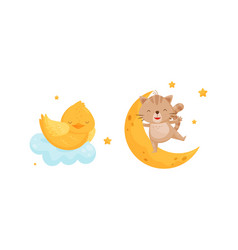 Yellow Chick Sleeping On Soft Cloud And Cat