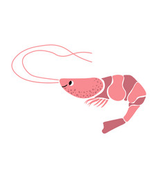 Cute Ocean With Shrimp